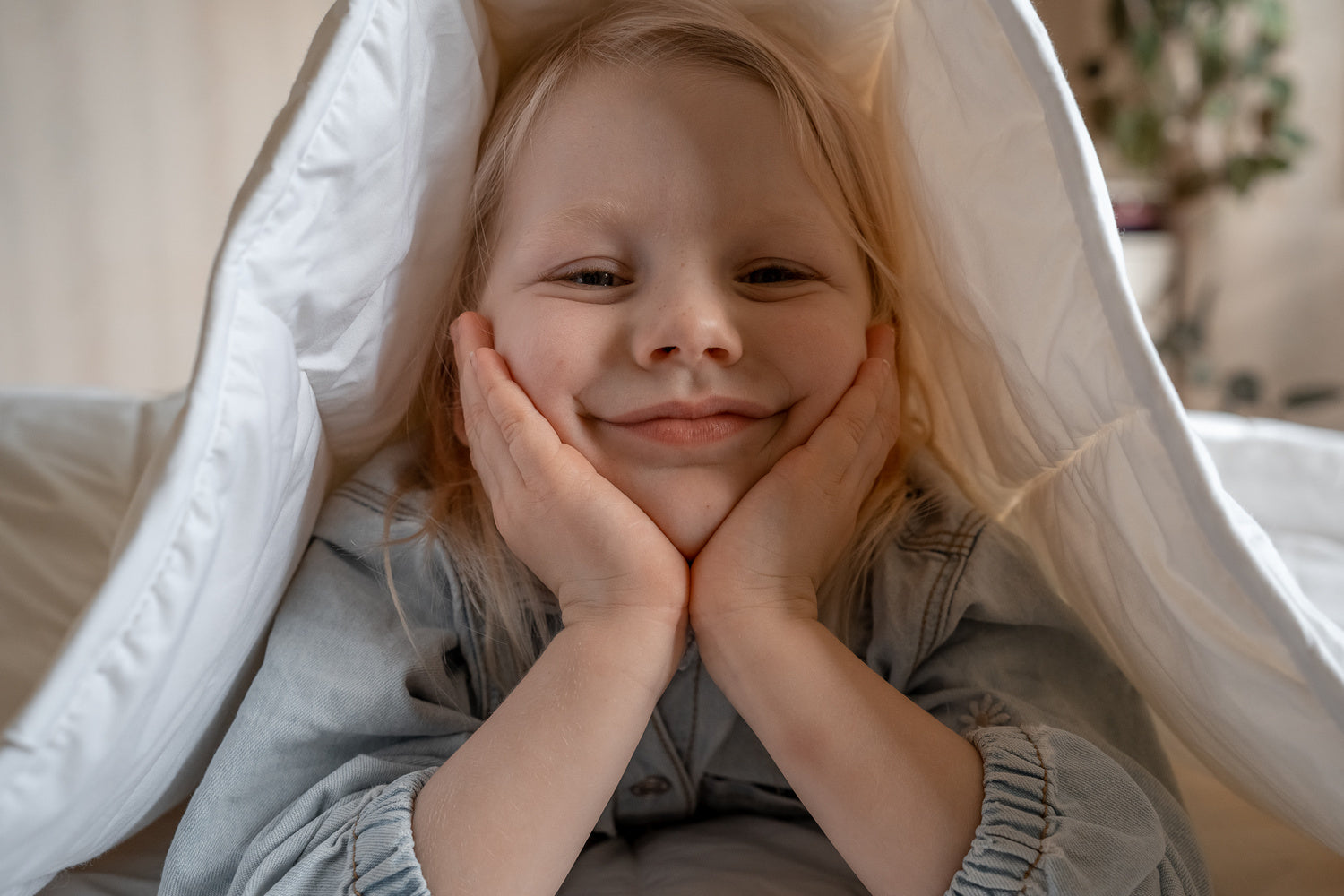 Premium Wisewool Duvet